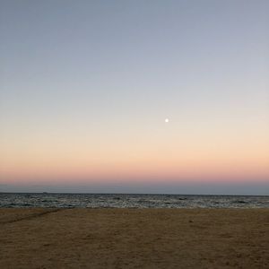 Meet your Posher, Theresa